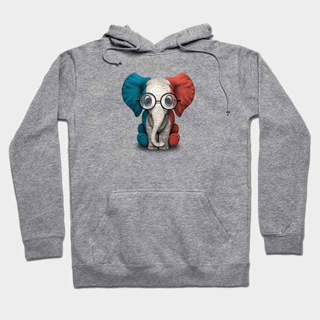 Baby Elephant with Glasses and French Flag Hoodie by jeffbartels